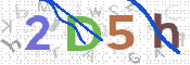 CAPTCHA 驗證圖片