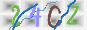 CAPTCHA 驗證圖片