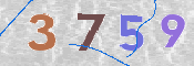 CAPTCHA 驗證圖片