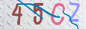 CAPTCHA 驗證圖片