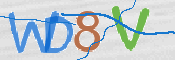 CAPTCHA 驗證圖片