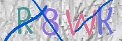 CAPTCHA 驗證圖片