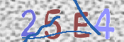 CAPTCHA 驗證圖片