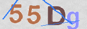 CAPTCHA 驗證圖片