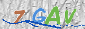 CAPTCHA 驗證圖片