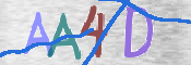 CAPTCHA 驗證圖片