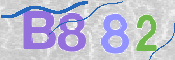 CAPTCHA 驗證圖片