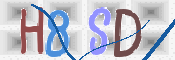 CAPTCHA 驗證圖片