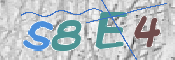 CAPTCHA 驗證圖片