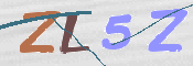 CAPTCHA 驗證圖片