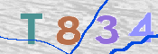 CAPTCHA 驗證圖片