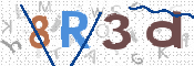 CAPTCHA 驗證圖片
