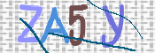 CAPTCHA 驗證圖片
