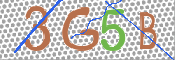 CAPTCHA 驗證圖片