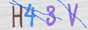 CAPTCHA 驗證圖片