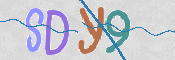 CAPTCHA 驗證圖片