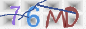 CAPTCHA 驗證圖片