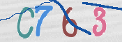 CAPTCHA 驗證圖片