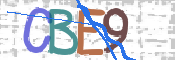 CAPTCHA 驗證圖片