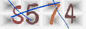 CAPTCHA 驗證圖片
