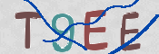 CAPTCHA 驗證圖片