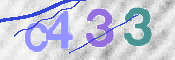 CAPTCHA 驗證圖片