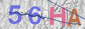 CAPTCHA 驗證圖片