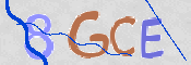 CAPTCHA 驗證圖片