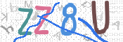 CAPTCHA 驗證圖片