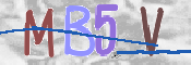 CAPTCHA 驗證圖片
