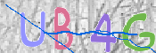 CAPTCHA 驗證圖片