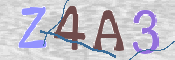 CAPTCHA 驗證圖片