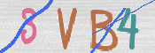 CAPTCHA 驗證圖片