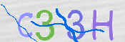 CAPTCHA 驗證圖片