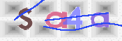 CAPTCHA 驗證圖片