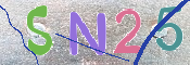 CAPTCHA 驗證圖片