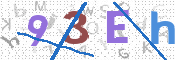 CAPTCHA 驗證圖片