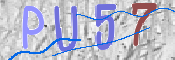 CAPTCHA 驗證圖片