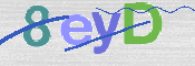 CAPTCHA 驗證圖片