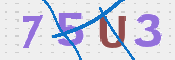 CAPTCHA 驗證圖片