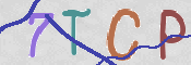 CAPTCHA 驗證圖片
