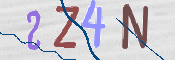 CAPTCHA 驗證圖片