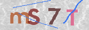 CAPTCHA 驗證圖片