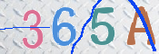 CAPTCHA 驗證圖片