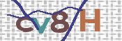 CAPTCHA 驗證圖片