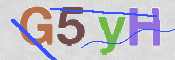 CAPTCHA 驗證圖片