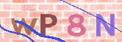 CAPTCHA 驗證圖片