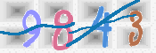 CAPTCHA 驗證圖片