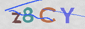 CAPTCHA 驗證圖片