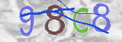 CAPTCHA 驗證圖片